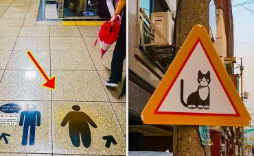 Странные вещи, которые кажутся нормальными только в Южной Корее