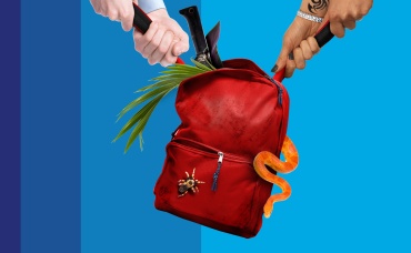 12-я серия