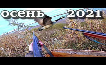 2 охоты в одном ролике_ осенняя охота на казарок 2021