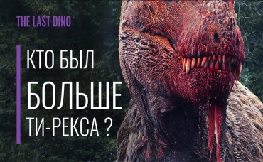 Ти-Рекс все еще крупнейший хищник_