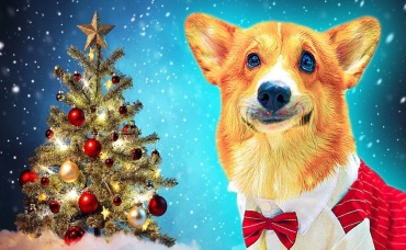 КОРГИ КОРЖИК. ИТОГИ 2022 ГОДА!! Я больше не волосатая сосиска!!