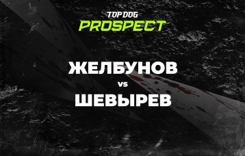 Желбунов vs Шевырев
