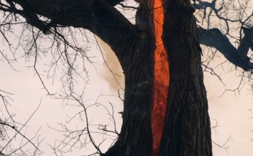 7-я серия