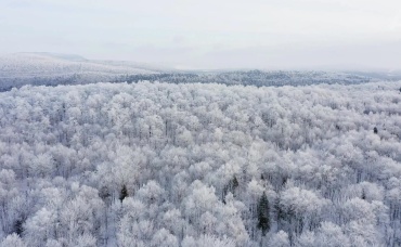 5-я серия