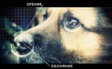 1-я серия