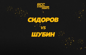 Сидоров vs Шубин