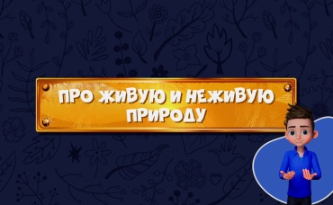 5-я серия