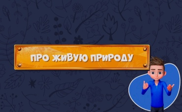 13-я серия