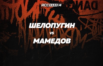 Шелопугин vs Мамедов
