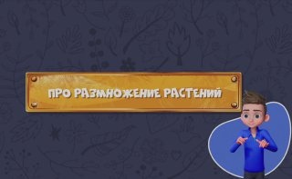 81-я серия