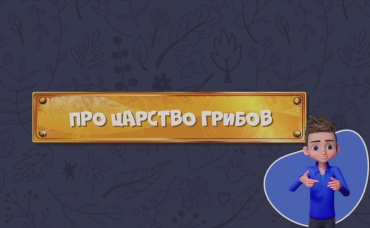 85-я серия