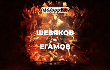 Шевяков vs Егамов