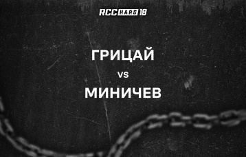 Грицай vs Миничев