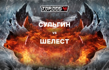 Сульгин vs Шелест