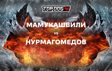 Мамукашвили vs Нурмагомедов