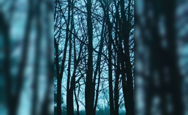 36-я серия
