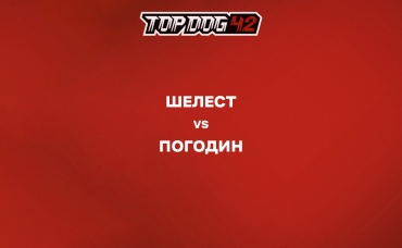 Шелест vs Погодин