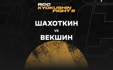 Шахоткин vs Векшин