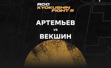 Артемьев vs Векшин