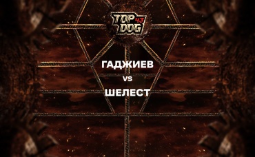 Гаджиев vs Шелест