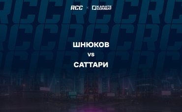 Шнюков vs Саттари