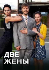 Постер к сериалу Две жены 2017