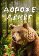 Постер к сериалу ДОРОЖЕ ДЕНЕГ 2022