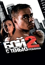 Постер к фильму Бой с тенью 2: Реванш 2007