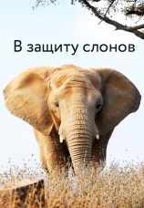 Постер к фильму В защиту слонов 2013
