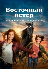 Постер к фильму Восточный ветер: Великий ураган 2021