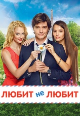 Постер к фильму Любит не любит 2014