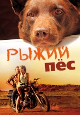 Постер к фильму Рыжий пес 2011