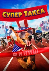Постер к фильму Супер Такса 2015