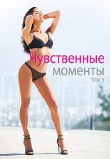 Постер к фильму Чувственные моменты 3 (софт) 2014