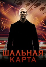 Постер к фильму Шальная карта 2014