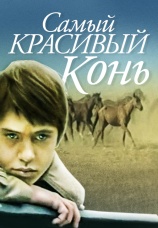 Постер к фильму Самый красивый конь 1976