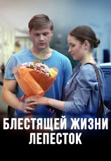 Постер к фильму Блестящей жизни лепесток 2016