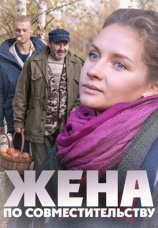 Постер к фильму Жена по совместительству 2013