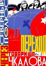Постер к фильму Переход товарища Чкалова через Северный Полюс 1990
