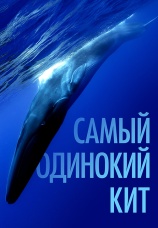 Постер к фильму Самый одинокий кит 2021
