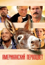 Постер к фильму Американский первоцвет 2009