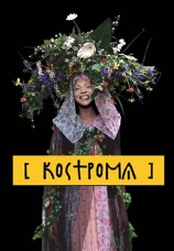 Постер к фильму Кострома 2002