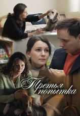 Постер к фильму Третья попытка 2013