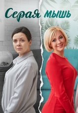 Постер к сериалу Серая мышь 2023
