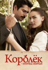 Постер к сериалу Королек - птичка певчая 2013