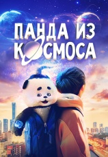 Постер к фильму Панда из космоса 2022