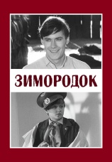 Постер к фильму Зимородок 1972