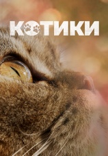 Постер к фильму Котики 2022