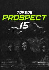 Постер к сериалу Top Dog Prospect 15 2023