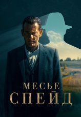 Постер к сериалу Месье Спейд 2024